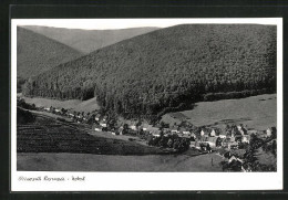 AK Lonau, Panorama Des Ortes Mit Umgebendem Wald  - Autres & Non Classés