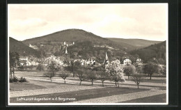 AK Jugenheim A. D. Bergstrasse, Gesamtansicht  - Autres & Non Classés