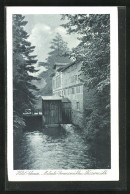 AK Malente / Gremsmühlen, Flusspartie Mit Wassermühle  - Malente-Gremsmühlen