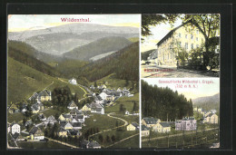 AK Wildenthal /Erzgeb., Hotel Drechster, Totalansicht  - Autres & Non Classés