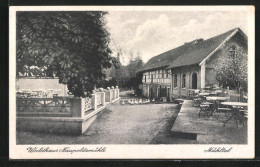 AK Eisenberg I. Thür., Gasthaus Waldhaus Naupoldsmühle Im Mühltal  - Eisenberg