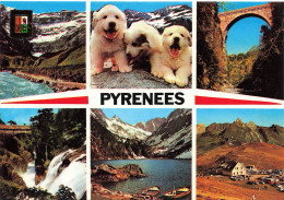 CPSM Hautes Pyrénées-Multivues    L2962 - Autres & Non Classés