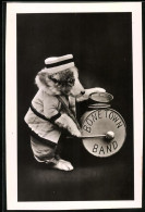 Fotografie Hund - Welpe Im Musiker Kostüm Mit Trommel Der Bone Town Band  - Autres & Non Classés