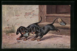 Künstler-AK Dackel Spielen Mit Pantoffel  - Hunde