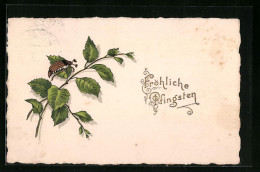 Präge-AK Maikäfer Auf Birkenzweig, Pfingstgruss  - Insects