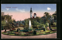 AK Freiberg, Albertspark Und Kirchturm Im Hintergrund  - Freiberg (Sachsen)