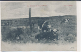 La Marais A Cricquebœuf (14 Calvados) Troupeau De Vaches - édit. ED Connell Carte Précurseur - Autres & Non Classés