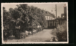 AK Kunnersdorf, Restaurant Im Kurgarten  - Czech Republic