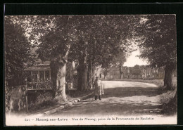 CPA Meung-sur-Loire, Vue De Meung, Prise De La Promenade De Baulette  - Other & Unclassified