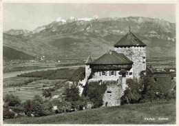 73979773 Liechtenstein_Fuerstentum Schloss Vaduz - Liechtenstein