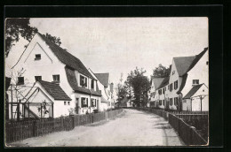 AK Nürnberg, Ortspartie Zum Stiegelfeld In Der Siedlung Loher-Moos  - Nuernberg