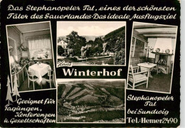 73908816 Stephanopel Hemer Haus Winterhof Gaststube Kaminzimmer Freibad Panorama - Hemer