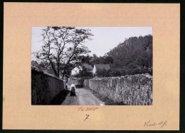 Fotografie Brück & Sohn Meissen, Ansicht Zitzschewig, Strasse Im Rietschkegrund  - Places