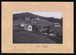 Fotografie Brück & Sohn Meissen, Ansicht Bärenfels, Villen In Der Villenkolonie  - Lieux