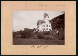 Fotografie Brück & Sohn Meissen, Ansicht Marienbad, Villa Luginsland  - Places