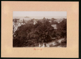 Fotografie Brück & Sohn Meissen, Ansicht Misdroy, Blick über Den Ort Zur Küste  - Places