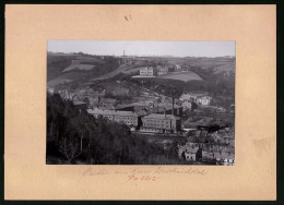 Fotografie Brück & Sohn Meissen, Ansicht Meissen I. Sa., Fabrik Im Triebischtal  - Orte