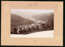 Fotografie Brück & Sohn Meissen, Ansicht Pirkenhammer, Blick Auf Den Ort Vom Berg Aus Gesehen, Wanderer Mit Hund  - Orte