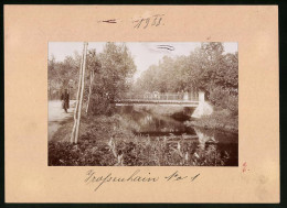 Fotografie Brück & Sohn Meissen, Ansicht Grossenhain, Blick Auf Die Wilhelminen Brücke Im Stadtpark  - Orte