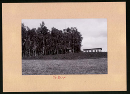 Fotografie Brück & Sohn Meissen, Ansicht Radeberg, Blick Auf Den Felixberg Mit Restauration Und Turm  - Places