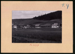 Fotografie Brück & Sohn Meissen, Ansicht Rehefeld I. Erzg., Blick In Den Ort Mit Gutshöfen  - Lieux
