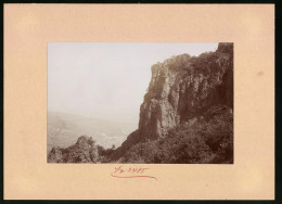 Fotografie Brück & Sohn Meissen, Ansicht Bilin, Partie Am Borschen Mit Blick Auf Die Stadt  - Lieux