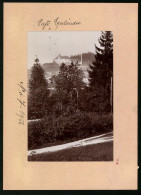 Fotografie Brück & Sohn Meissen, Ansicht Marienbad, Blick Vom Wald Auf Das Cafe Egerländer  - Lieux