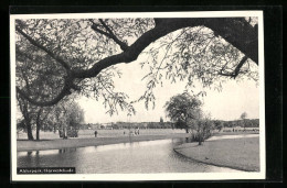 AK Hamburg-Harvestehude, Partie Im Alsterpark  - Eimsbüttel