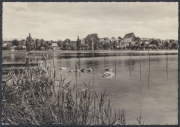 Prenzlau, Am Unteren Ueckersee - Sonstige & Ohne Zuordnung