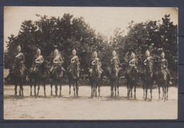 Munster, Offiziere Zu Pferde, Fotoansichtskarte - Guerre 1914-18