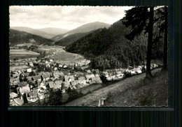 Lautenthal Im Oberharz, Blick Vom Schulberg - Autres & Non Classés