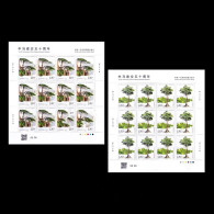 China 2024/2024-11 Trees: China — Malaysia Joint Issues Stamp Full Sheet 2v MNH - Nuovi