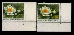 Deutschland (BRD), MiNr. 274, Eckr. Rechts Unten, FN 1 + 2, Postfrisch - Unused Stamps