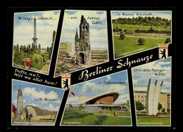 Berliner Schnauze, 6 Bilderkarte - Other & Unclassified