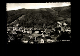 Lindenberg Im Pfälzer Wald - Autres & Non Classés