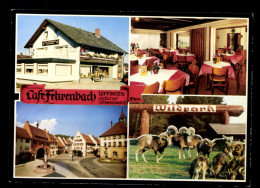 Löffingen/südl. Schwarzwald, Cafe Fehrenbach, Wildpark - Other & Unclassified