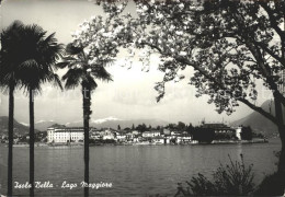 72336027 Isola Bella Lago Maggiore Seeufer Isola Bella Lago Maggiore - Other & Unclassified