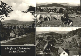 72335781 Waltersdorf Bad Schandau Hubertusbaude Blick Zum Butterberg Schafherde  - Bad Schandau