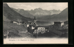 Cartolina Bozen, St. Magdalena, An Den Weingärten  - Bolzano (Bozen)