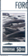 Fauna. Globicefalo 2010. - Färöer Inseln