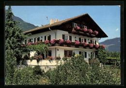 Cartolina Dorf Tirol B. Meran, Pension Garni Rebhof, Haslachweg 26  - Autres & Non Classés