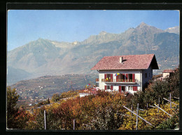 Cartolina Schenna-Meran, Pension Haus Rebgut  - Autres & Non Classés