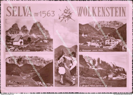 Ah807 Cartolina Selva Wolkenstein Provincia Di Bolzano Trentino Alto Adige - Trento