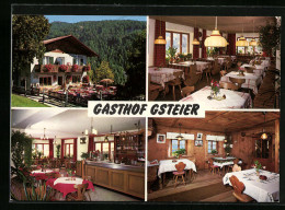 Cartolina Schenna, Gasthof Gsteier, Innenansichten  - Other & Unclassified