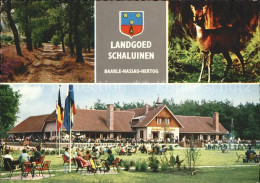 72330613 Baarle Nassau Landgoed Schaluinen Hotel Restaurant Waldpartie Rehkitz  - Other & Unclassified