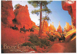 73961530 Bryce_Canyon_National_Park Horses And Mules Take Visitors Into The Cany - Otros & Sin Clasificación