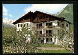 Cartolina Dorf Tirol Bei Meran, Pension Gamper Mit Blühenden Bäumen  - Other & Unclassified