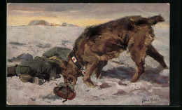 Künstler-AK Sanitätshund Mit Aufgepürtem Verwundeten Auf Einsamem Schneefeld  - Dogs