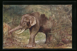 Künstler-AK Elefant Mit Stosszähnen Im Dschungel  - Olifanten