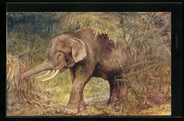 Künstler-AK Elefant Vor Unterholz Im Wald  - Elefanten